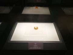 景点-辽宁省博物馆