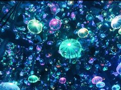 -福州奇幻解压馆(东泰禾旗舰店)