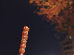 大糖堆儿-二斗栗子(西湖道店)