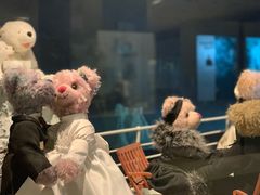 -济州岛泰迪熊博物馆