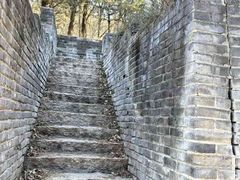 -云岗森林公园