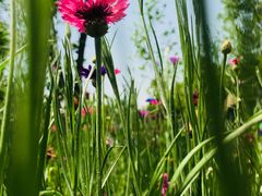 -盘龙城国家考古遗址公园