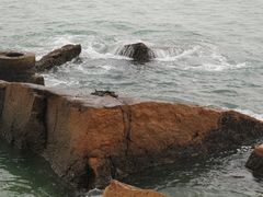 -枸杞岛
