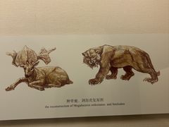 -辽宁省博物馆