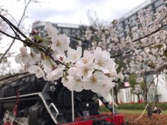 -新天地活力PARK