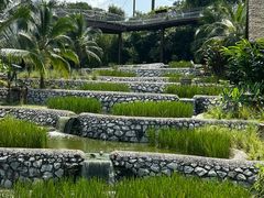 -新加坡飞禽公园