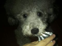 -汇金缪斯影城(八佰伴店)