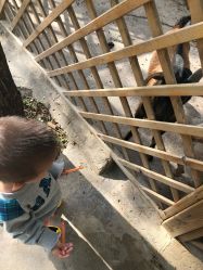 -萌宠亲子动物乐园(槐房万达店)