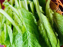 -野菌皇海景野生菌火锅(滨海大道店)