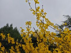 -丰台花园