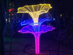 -南宫五洲植物乐园