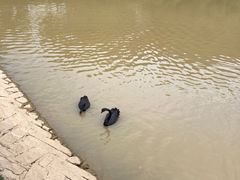 -泉州海丝野生动物世界