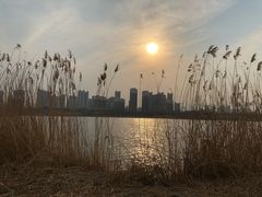 -永定河休闲森林公园