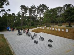 -广东惠东海龟国家级自然保护区