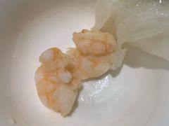 -南枝记