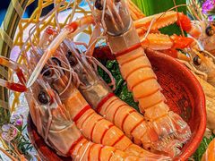 -Mr.Fish鱼鲜生海鲜放题(高德置地冬广场店)