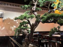 -绿茶餐厅(松江万达店)