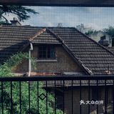 最佳下午茶｜可以躺一下午的花园