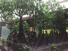 -中国湿地博物馆