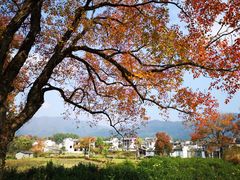-塔川景区