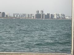 -秦皇岛秦皇国际大酒店