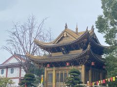 -上海东林寺(金山区)