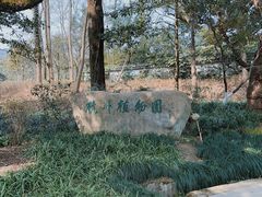 -杭州植物园