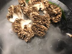 有机舞菇-煲宫猪肚鸡(晶品店)