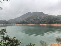 -广州市流溪河国家森林公园