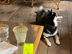 -小巨场咖啡