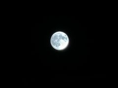 -大连金石滩绿发温泉假日酒店
