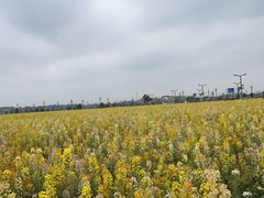 -中国天府农业博览园