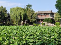 -莲池书院博物馆