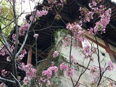 -乌山风景区