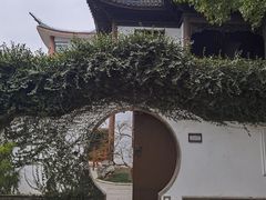 -上海醉白池公园