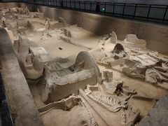 -洛阳周王城天子驾六博物馆