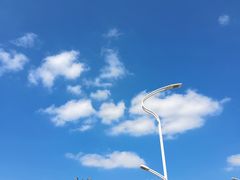 -芒洲湿地公园