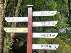-刘伯温故里景区百丈漈