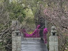 -南汇桃花村