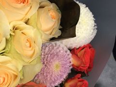 -双季花艺园艺市场(浦东店)
