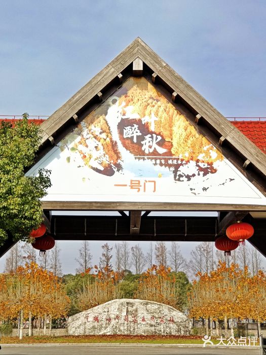 上海海湾国家森林公园图片