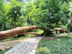 -华南国家植物园-售票处