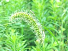 -青龙山国家森林公园