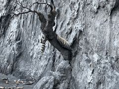 -墨石公园景区