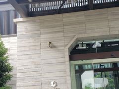 -上海崇明金茂凯悦酒店