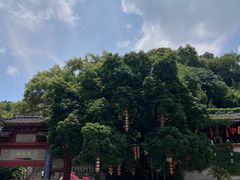 -乌山风景区