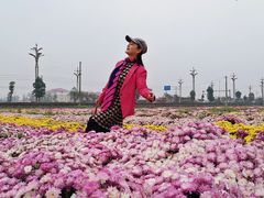 -中国天府农业博览园