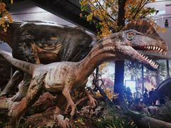 -湖南省地质博物馆