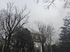 -西安市长乐公园