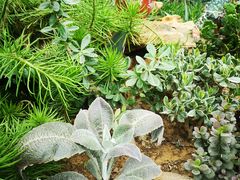 -国家植物园南园